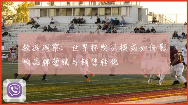 数据洞察：世界杯购买模式如何影响品牌营销与销售转化