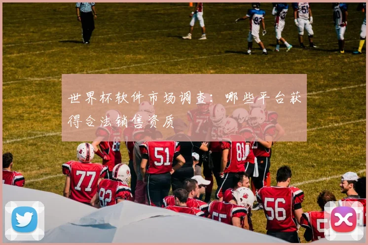 世界杯软件市场调查：哪些平台获得合法销售资质