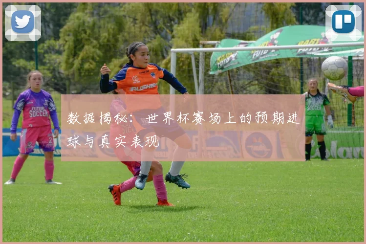 数据揭秘：世界杯赛场上的预期进球与真实表现