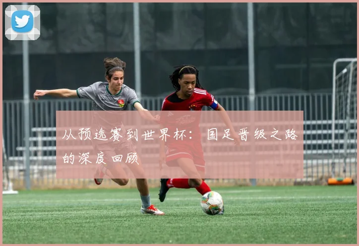 从预选赛到世界杯：国足晋级之路的深度回顾