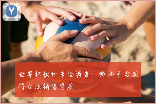 世界杯软件市场调查：哪些平台获得合法销售资质