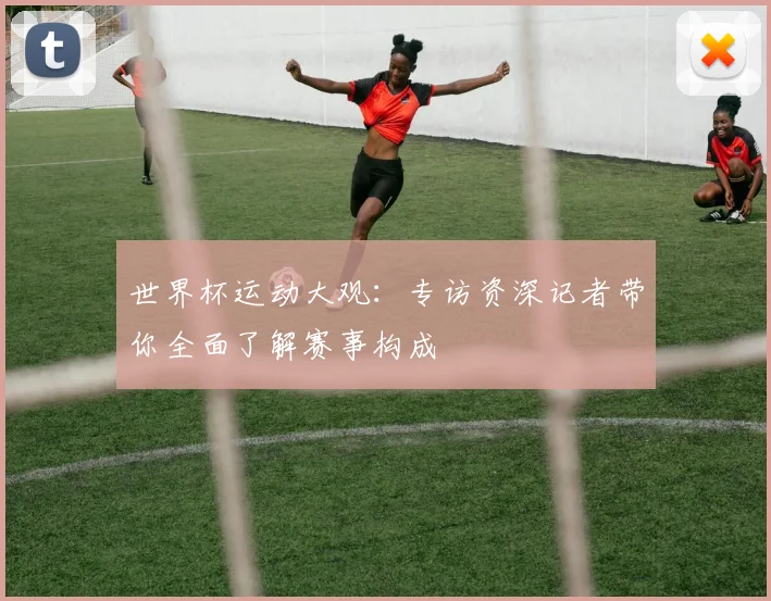 世界杯运动大观：专访资深记者带你全面了解赛事构成