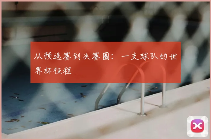 从预选赛到决赛圈：一支球队的世界杯征程