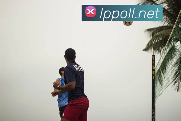 奖项证书